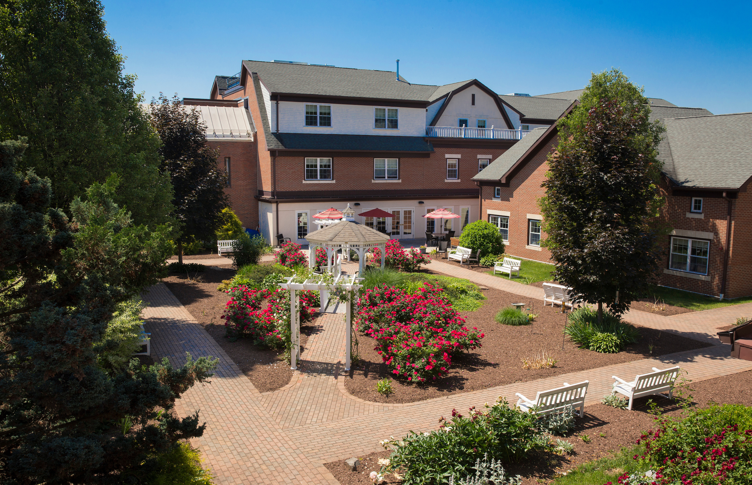 Our beautiful courtyard